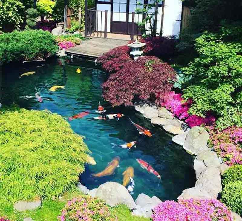 Thiết kế nhà vườn có ao cá