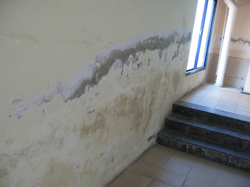 Sửa nhà 2 tầng với tường bị ẩm mốc, bong tróc sơn nặng cần sửa chống thấm dột triệt để